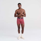 Saxx VIBE Boxer Brief / Mini Stripe- Cherry