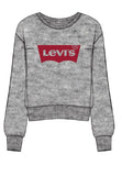 Graphic Standard Crewneck Sweatshirt - Plus Size
